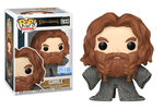 The Lord of the Rings Gimli Funko Shop Pop Vinyl